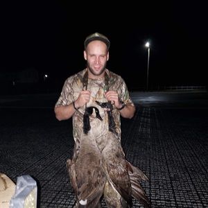 Meet your Posher, Eli